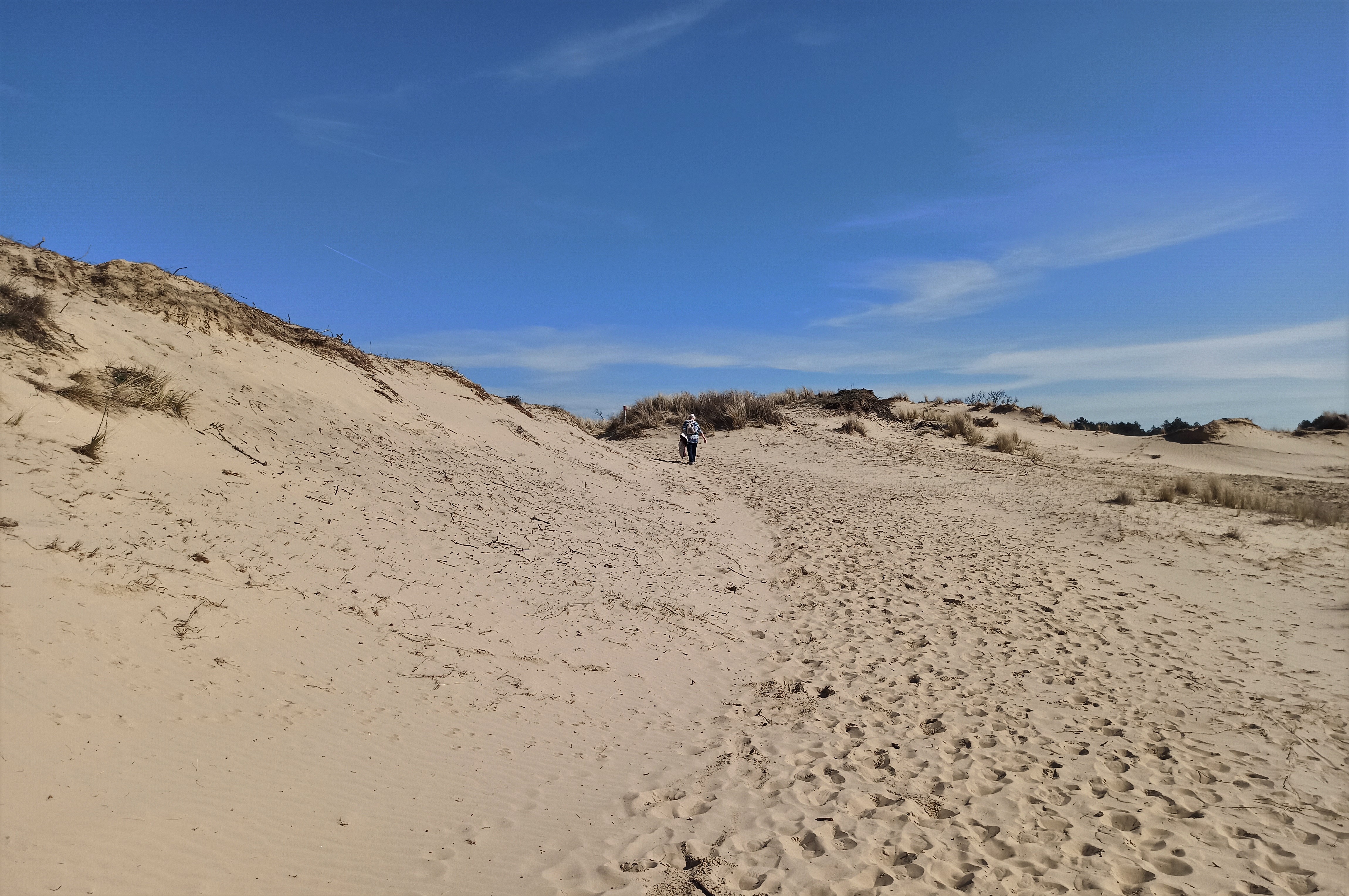 duinen
