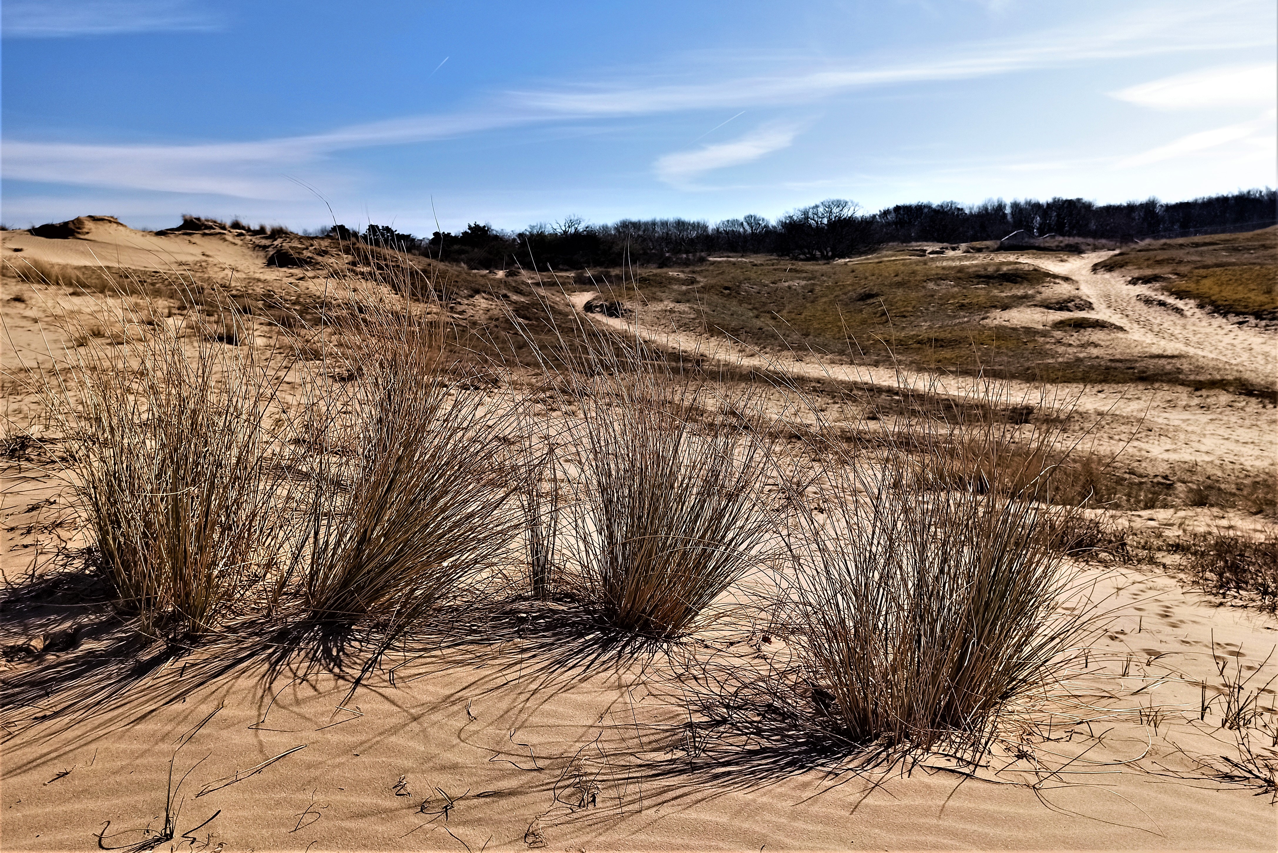 duinen